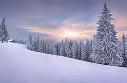 Obraz zawierający zewnętrzne, śnieg, drzewo, niebo

Opis wygenerowany automatycznie